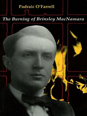 cover image of The Burning of Brinseley MacNamara